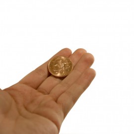 Aurora: Looking at Two Sides of the Same Coin